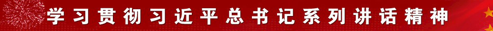 学习贯彻习近平总书记系列讲话精神