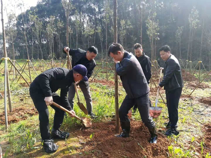 微信图片_20190321144520.jpg